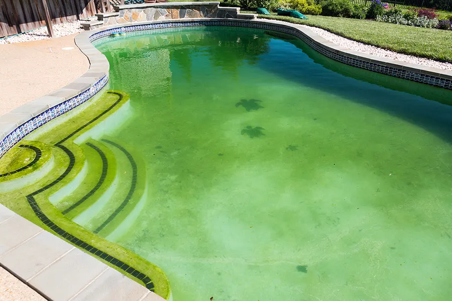Professional Pool Draining Services