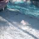 IMG 8826