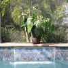 IMG 9461