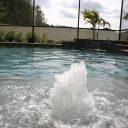 IMG 1136