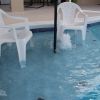 IMG 4751