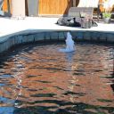 IMG 8885