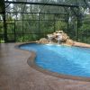 Seminole Woods5