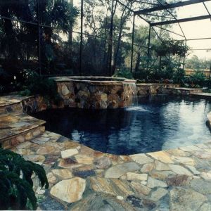 Spas 80