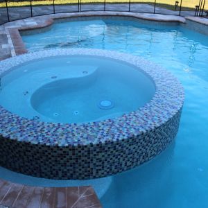 Spas 231